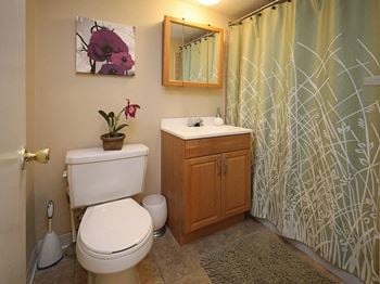 Newly remodeled bathrooms